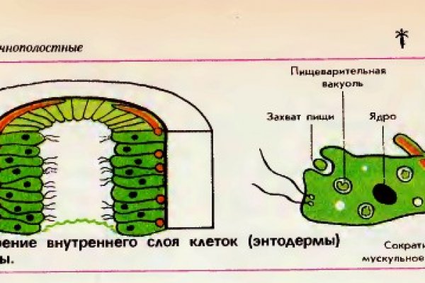 Кракен почему не заходит