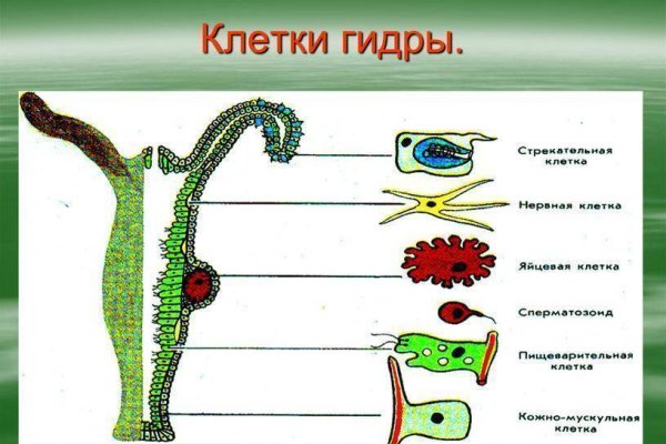 Кракен интернет площадка