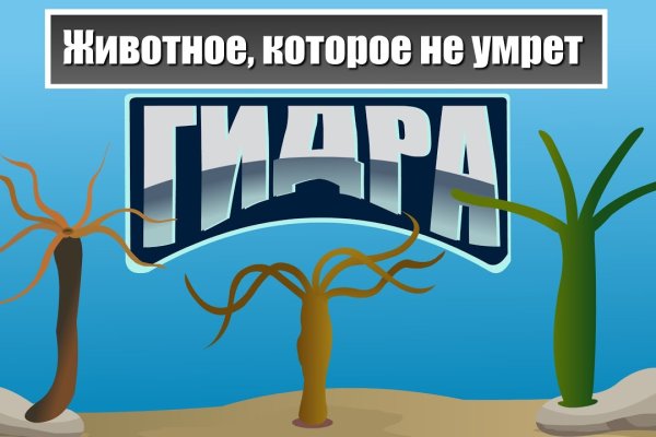 Ссылка кракен даркнет маркет