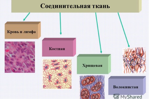 Кракен тор kraken clear com