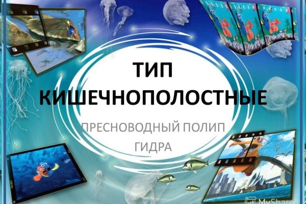 Даркнет маркет кракен onion