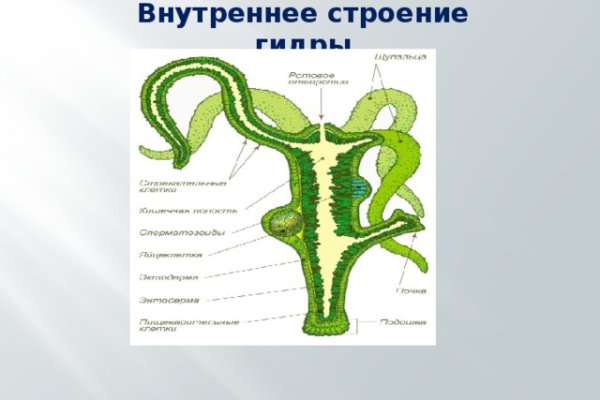 Kraken ссылка krakentor site