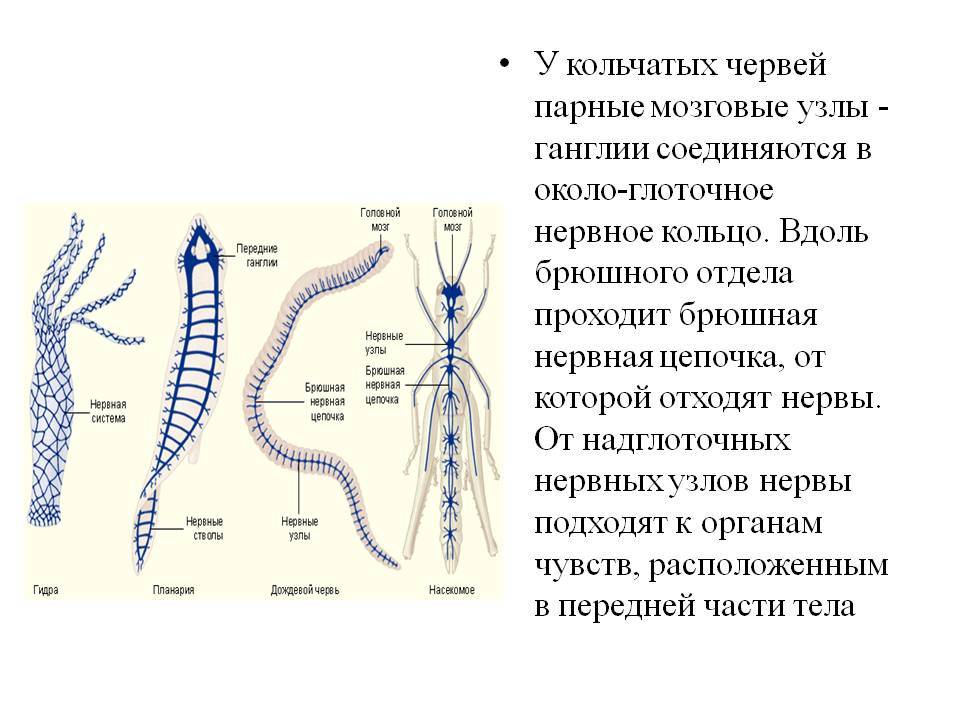 Кракен наркомагазин